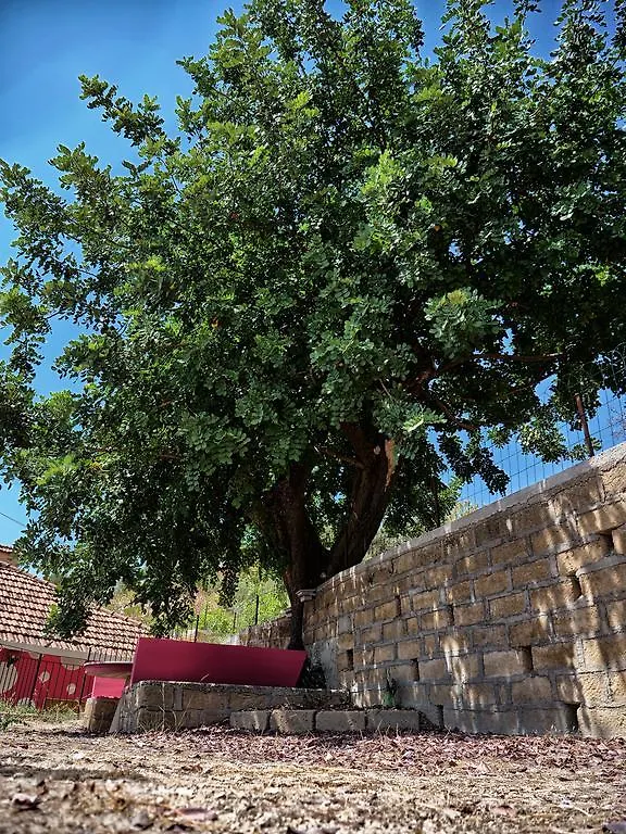 B&B Vento Di Scirocco Bed & Breakfast Favara