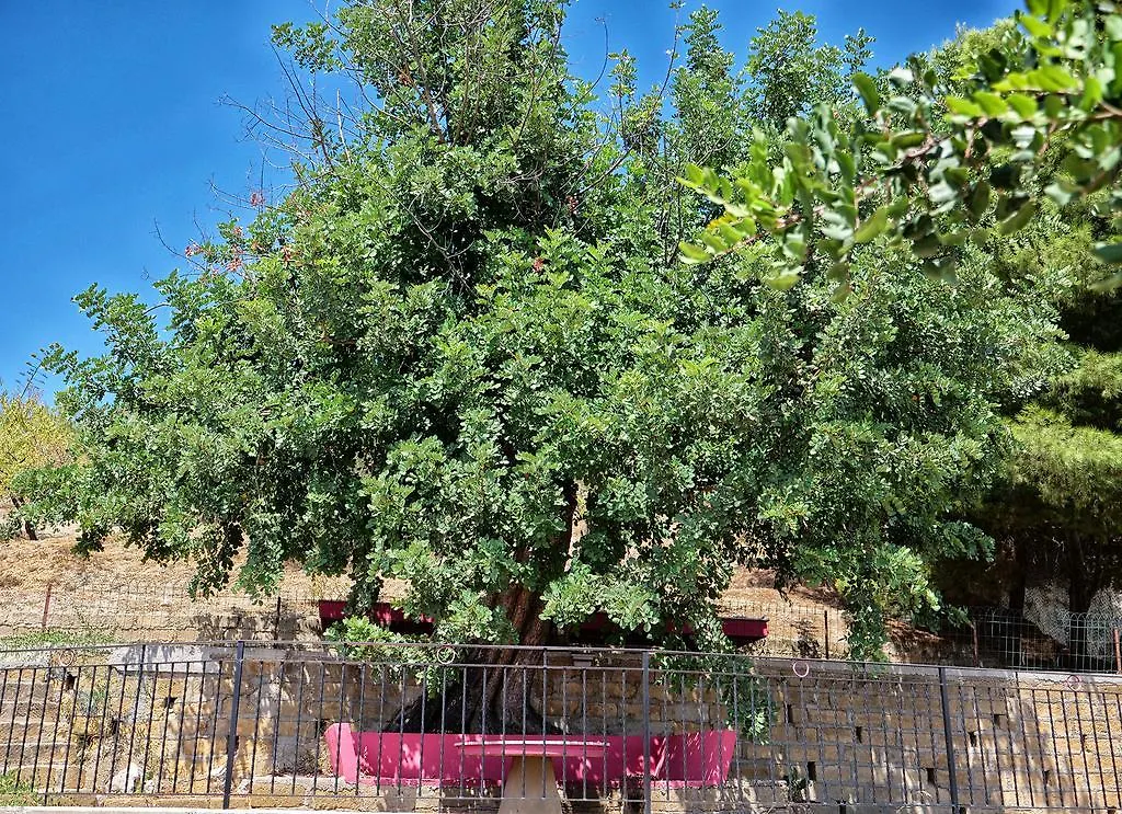 B&B Vento Di Scirocco 0*, Favara